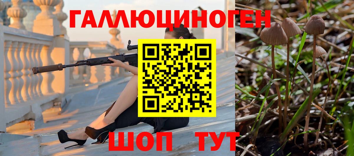 Псилоцибиновые грибы Magic Shrooms Кизляр