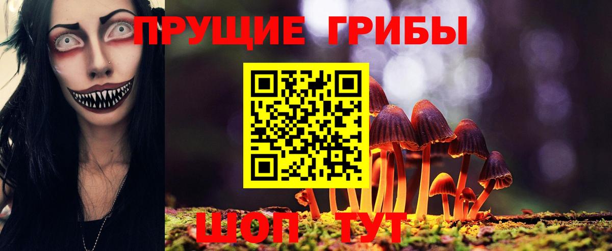 Кизляр  Псилоцибиновые грибы Psilocybe  Псилоцибиновые грибы Magic Shrooms  Вход с VPN 